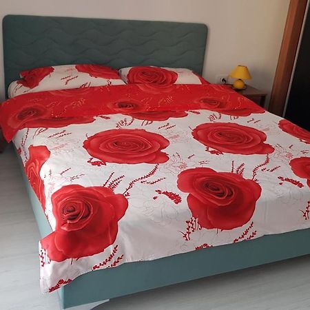 Nk47 Apartment Констанца Экстерьер фото